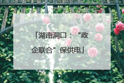 湖南洞口：“政企联合”保供电